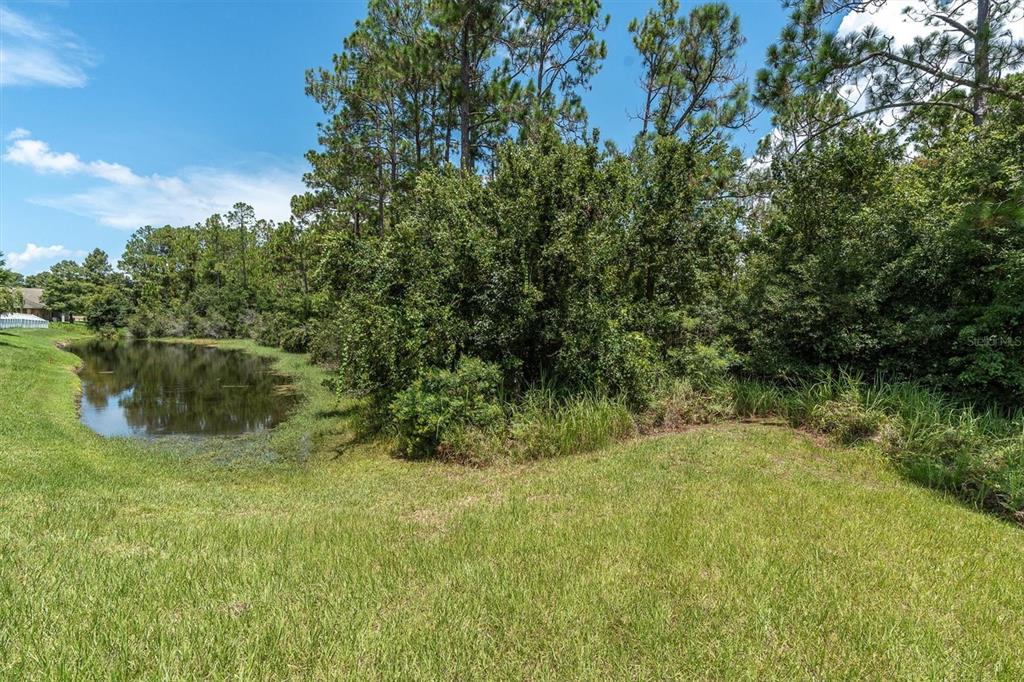 12148 Colony Lakes Boulevard New Port Richey, FL 34654 - Photo 40 of 52
