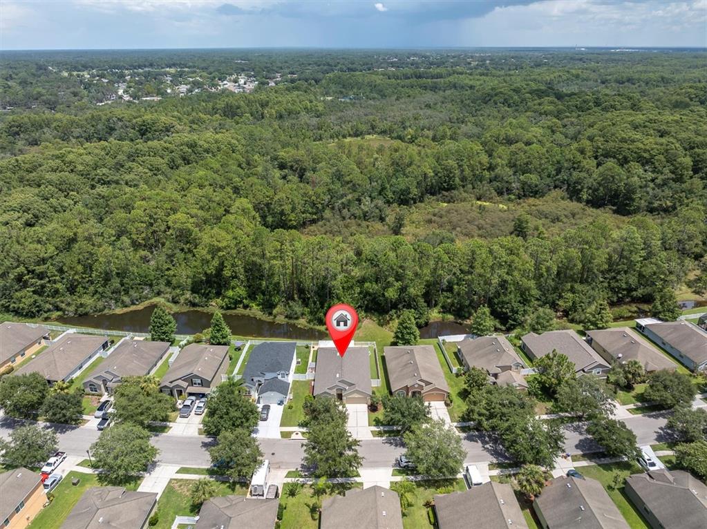 12148 Colony Lakes Boulevard New Port Richey, FL 34654 - Photo 44 of 52