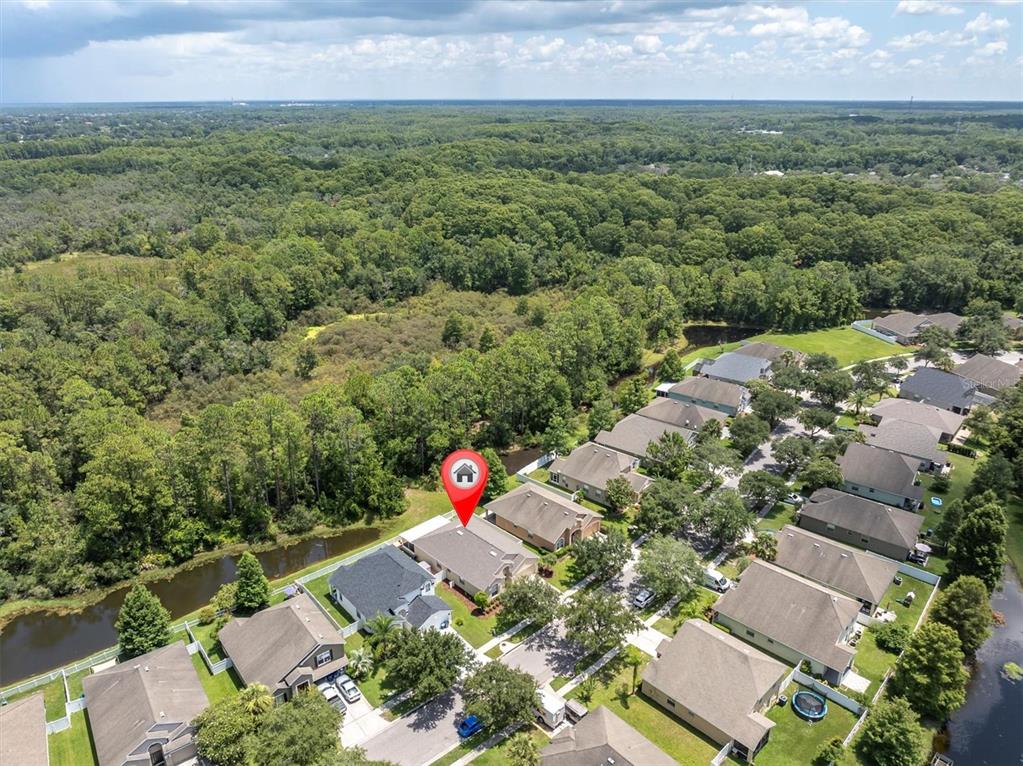 12148 Colony Lakes Boulevard New Port Richey, FL 34654 - Photo 46 of 52