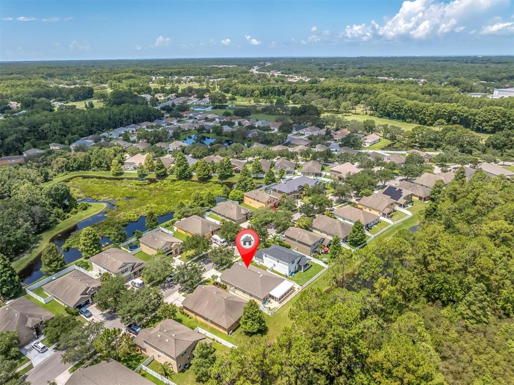 12148 Colony Lakes Boulevard New Port Richey, FL 34654 - Photo 48 of 52