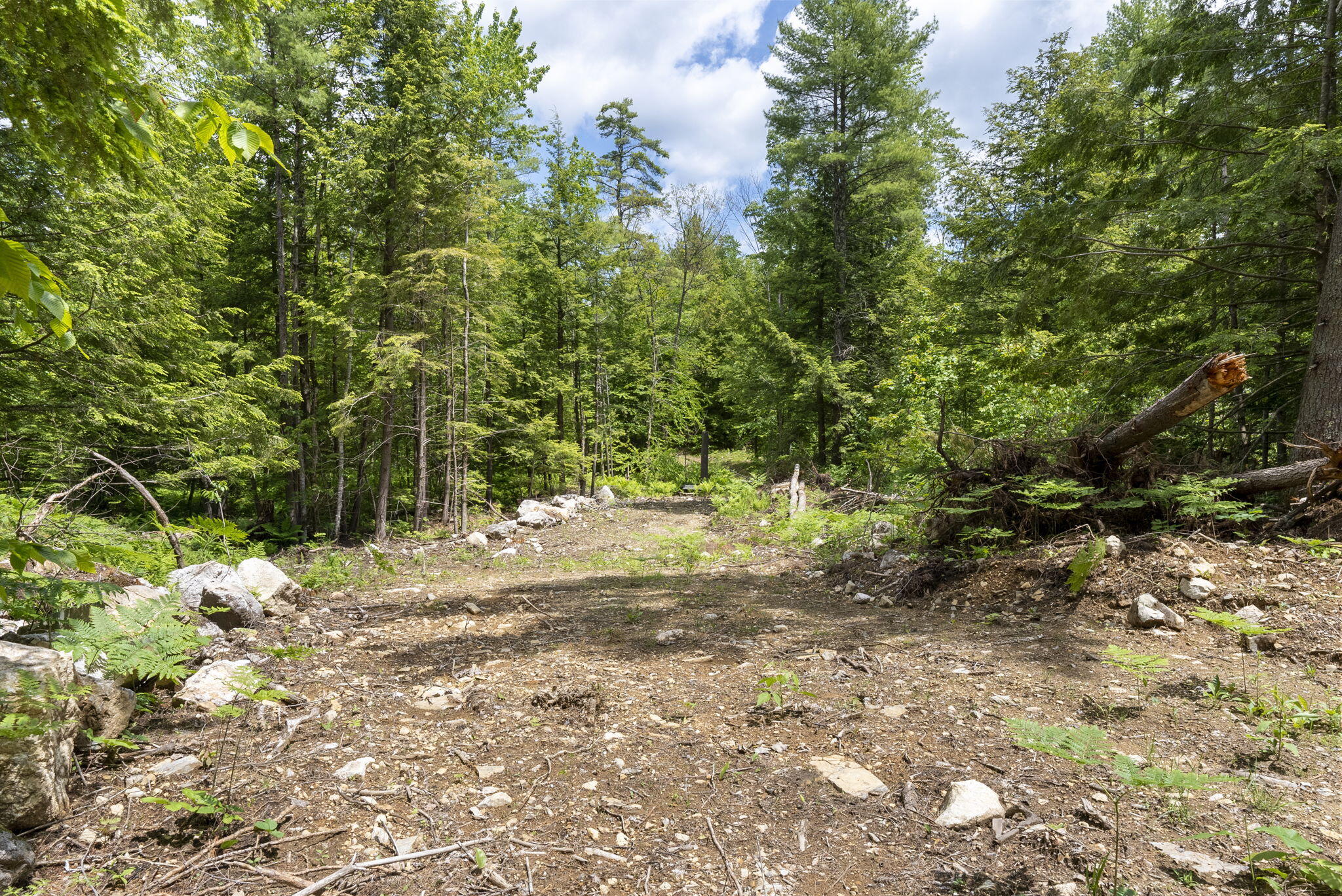 166 Libby Road Newfield, ME 04095 - Photo 1 of 19 17-web-or-mls-DSC00909