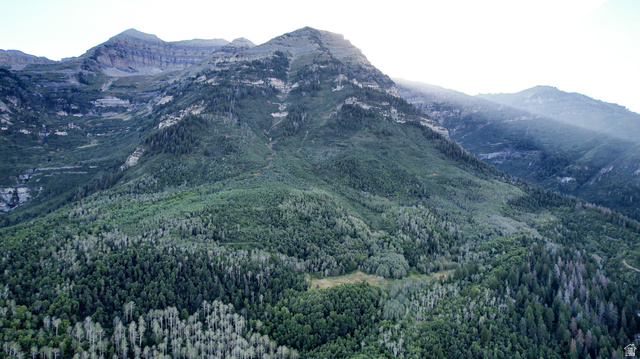 3 Sundance Rec Resort, Unit 3 Provo, UT 84604 - Photo 3 of 30 walk to Timpooneke trail head!
