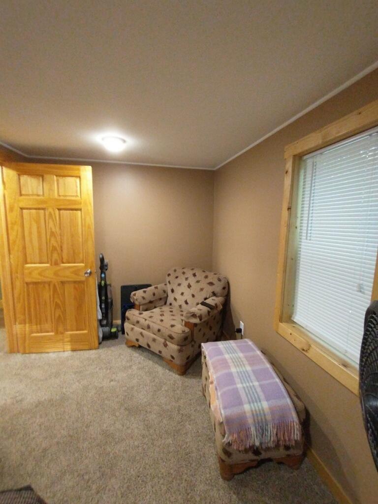 119 North Jackpine Road Fountain, MI 49410 - Photo 12 of 24 jp3