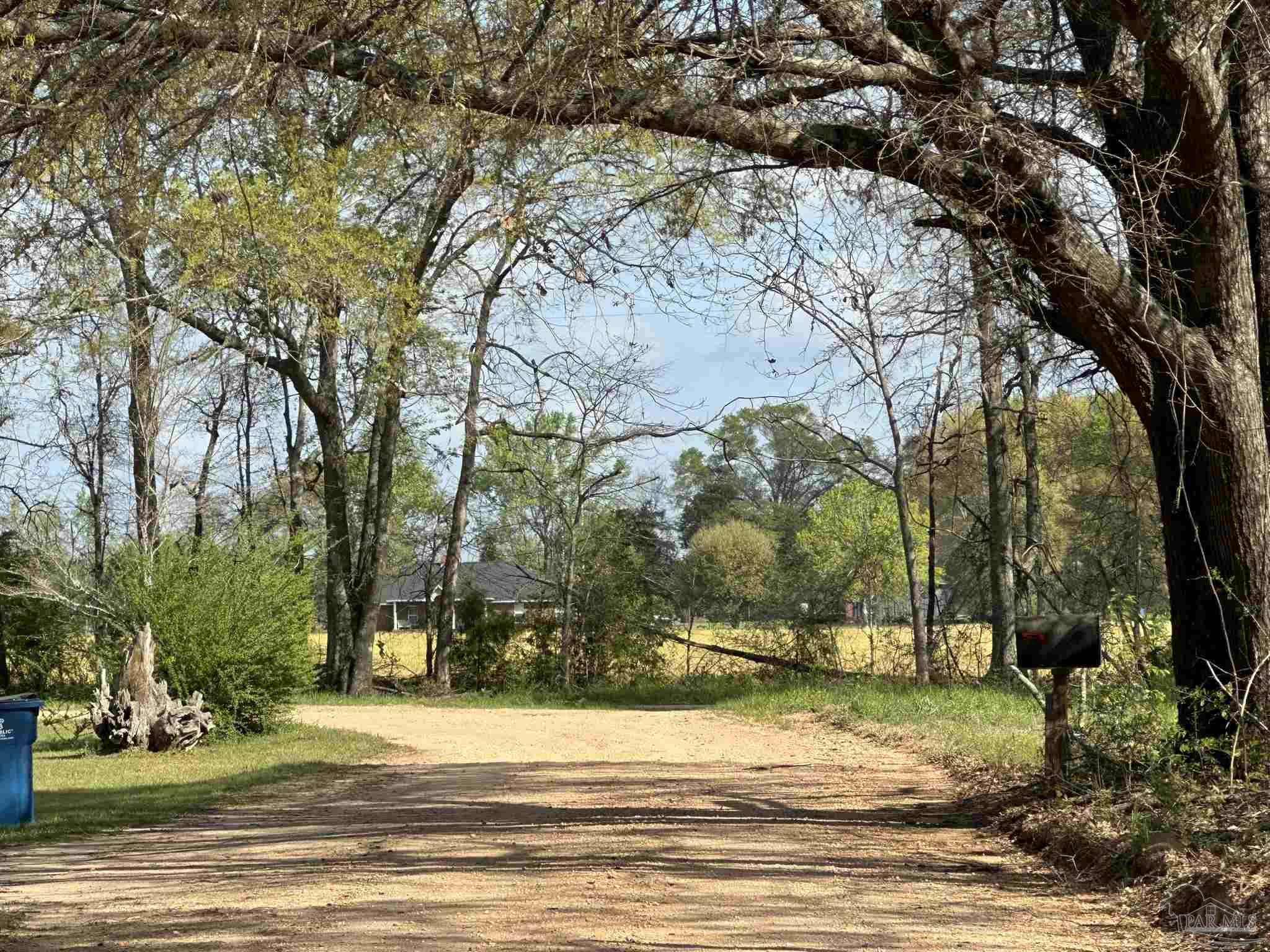 83-ac Lett Road Frisco City, AL 36445 - Photo 9 of 10