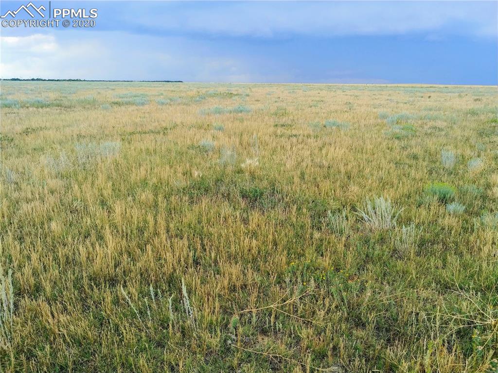 Berridge Road Yoder, CO 80864 - Photo 12 of 12