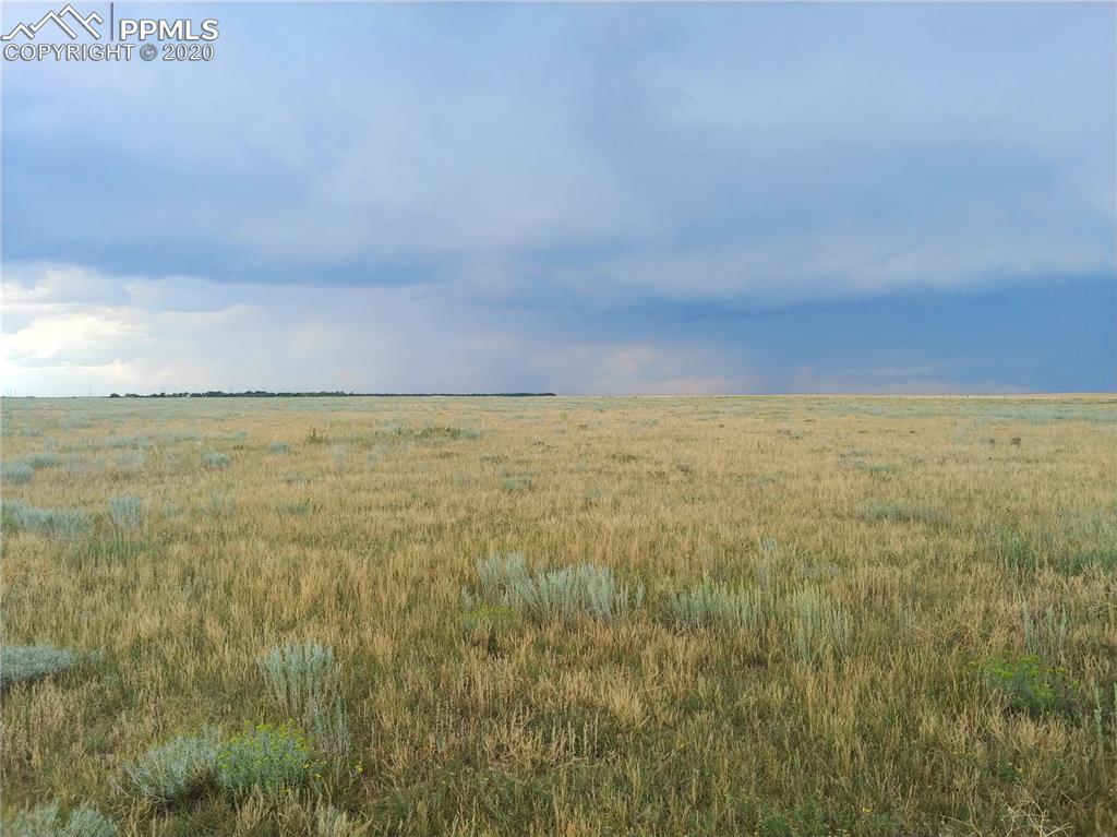 Berridge Road Yoder, CO 80864 - Photo 4 of 12