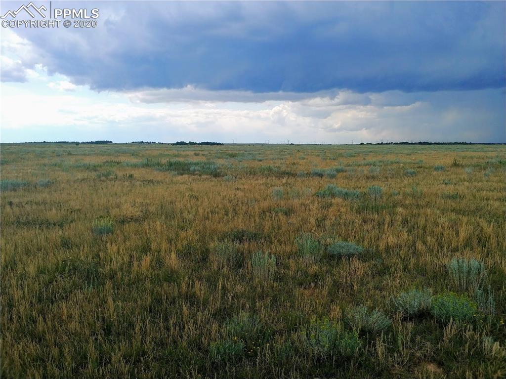 Berridge Road Yoder, CO 80864 - Photo 5 of 12
