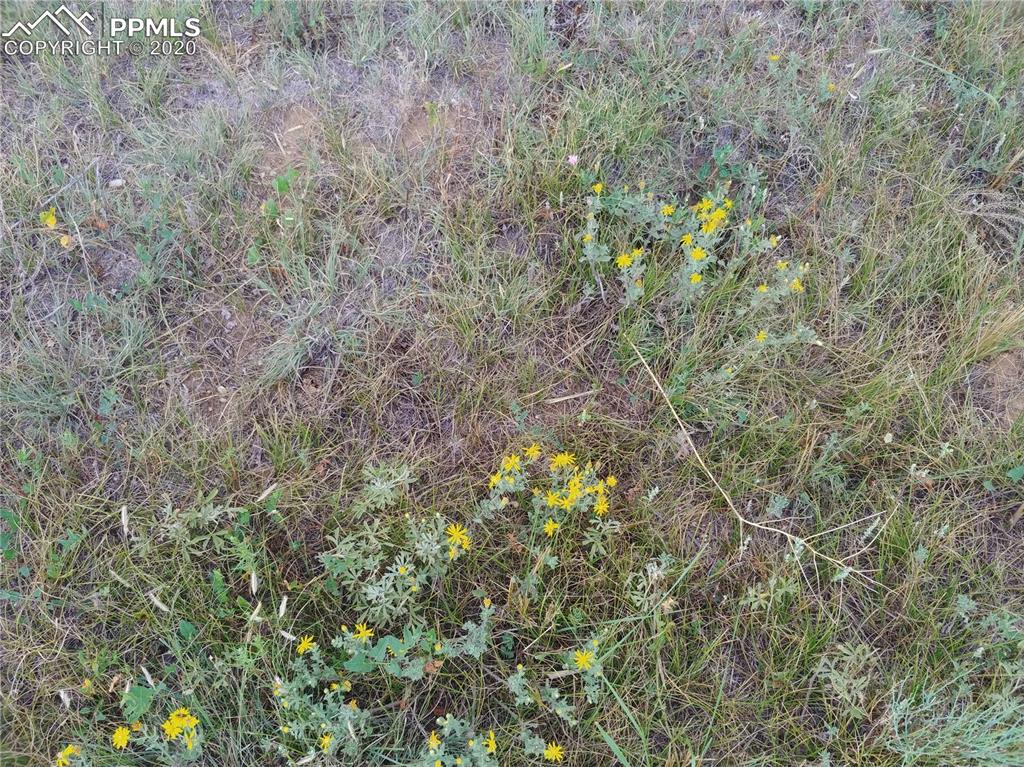 Berridge Road Yoder, CO 80864 - Photo 9 of 12