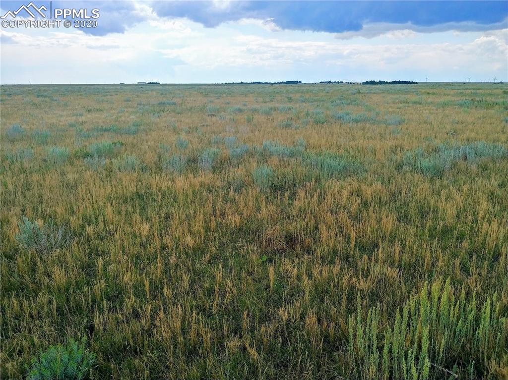 Berridge Road Yoder, CO 80864 - Photo 10 of 12