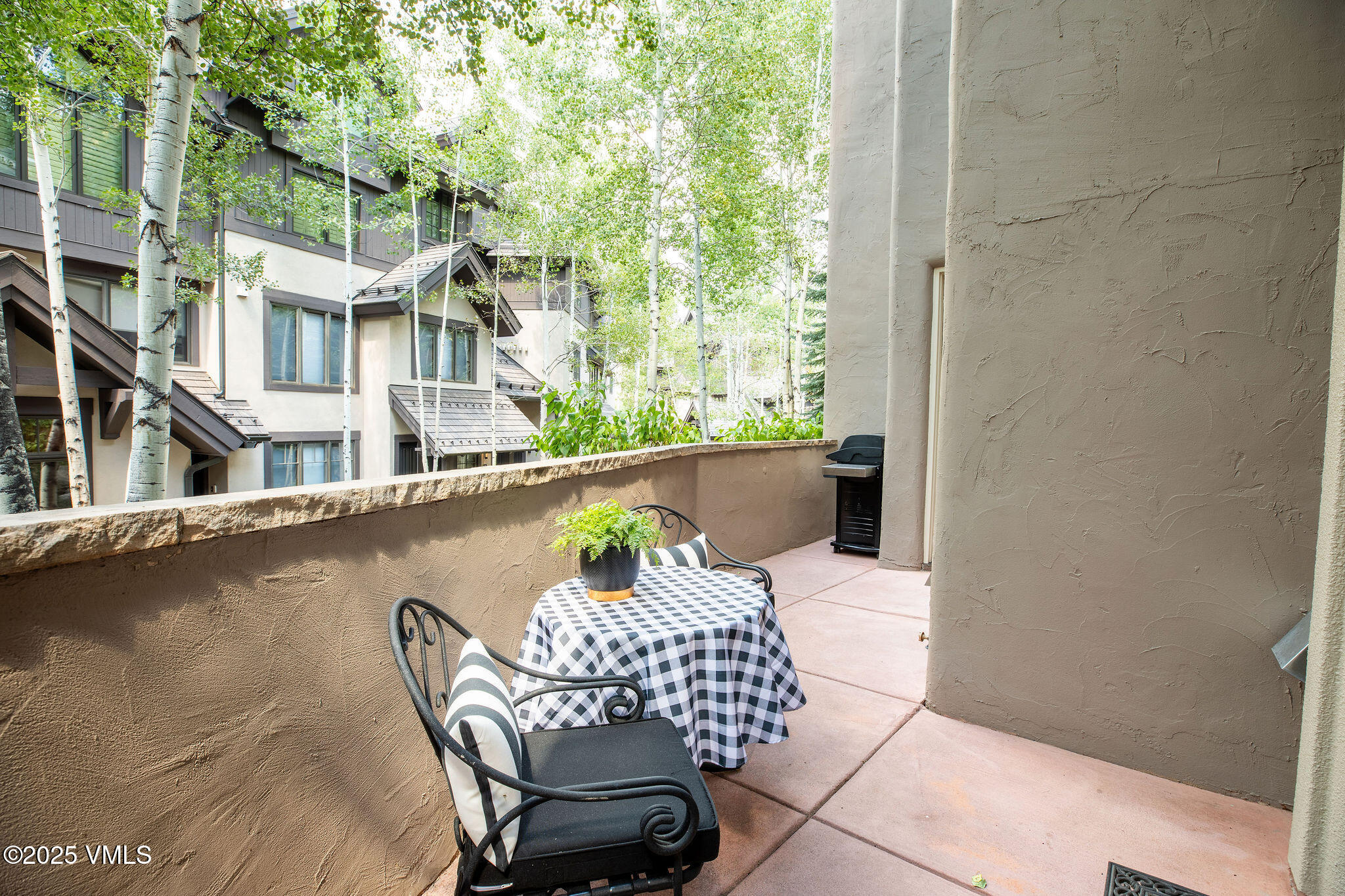 66 Arrowhead Circle, Unit 5 Edwards, CO 81632 - Photo 14 of 15 buffalo_park_5_exterior_patio02