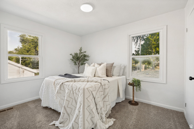 662 29th Street Ogden, UT 84403 - Photo 8 of 23 Bright room featuring two large windows, white walls, textured carpeting, and a flush-mount ceiling light