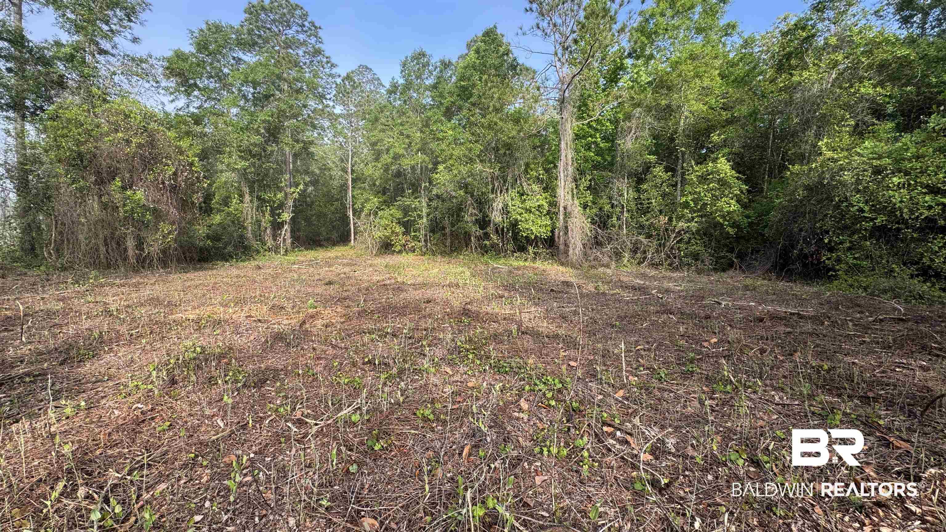 0 Lechner Road Robertsdale, AL 36567 - Photo 16 of 35 View of woods