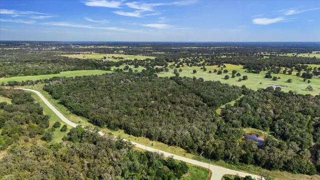 a view of a city with lots of trees