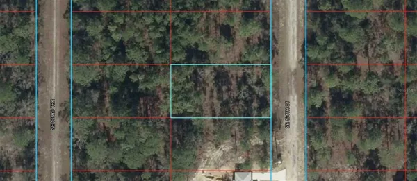 $11,500 | Tbd Southeast 134 Court, Dunnellon, FL 34431