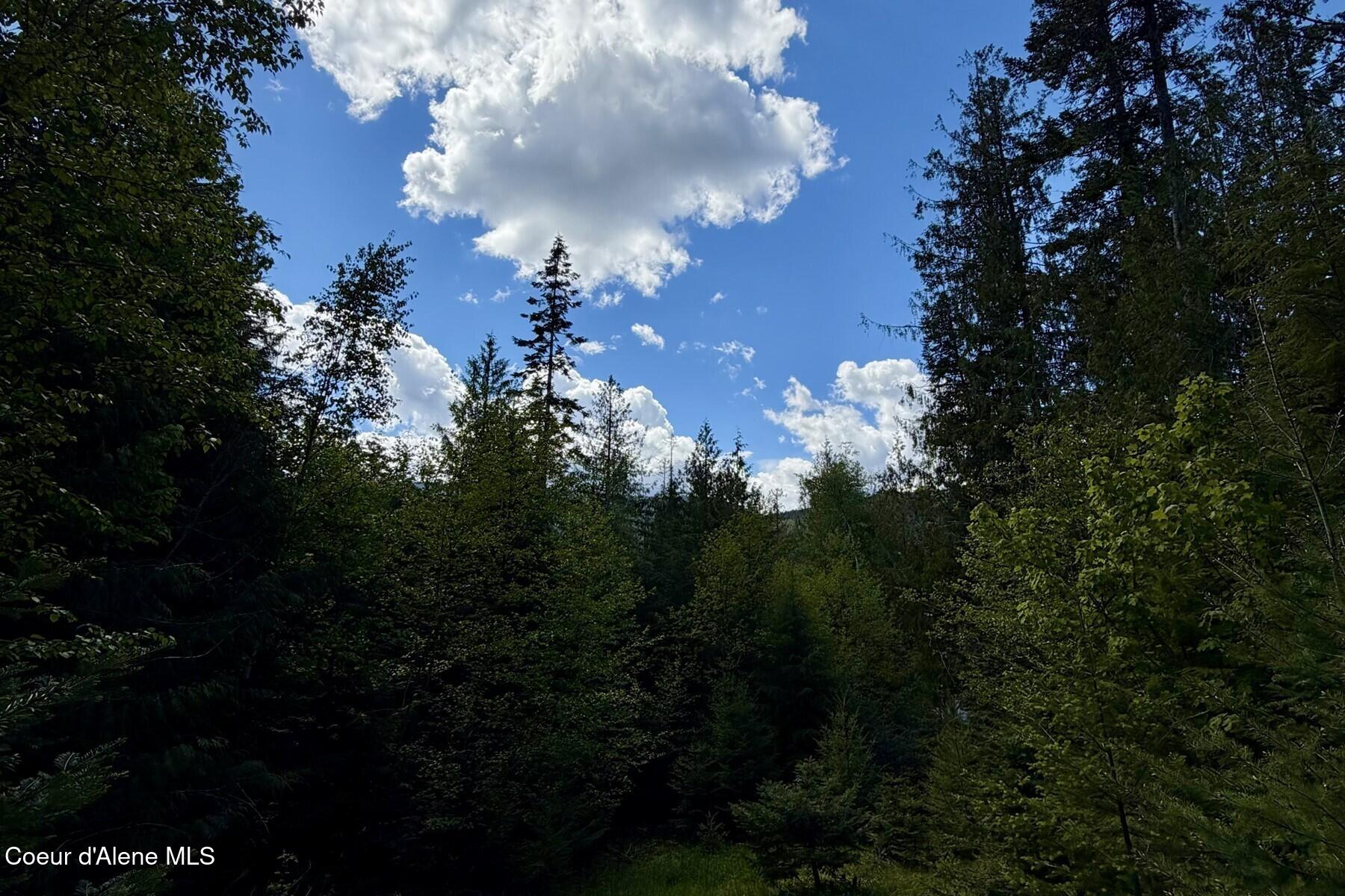 Nna Lot 4 Nna Road Sagle, ID 83860 - Photo 34 of 36 034_IMG_1442