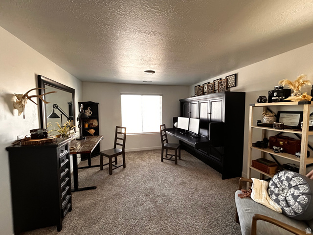 1373 South Raintree Lane Santaquin, UT 84655 - Photo 8 of 29 Loft