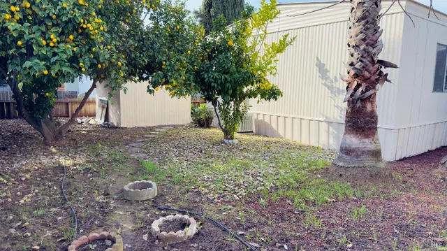 a view of a backyard with a tree