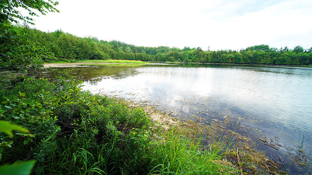 467 Foster Road Littleton, ME 04730 - Photo 71 of 80 lake-467-foster-rd