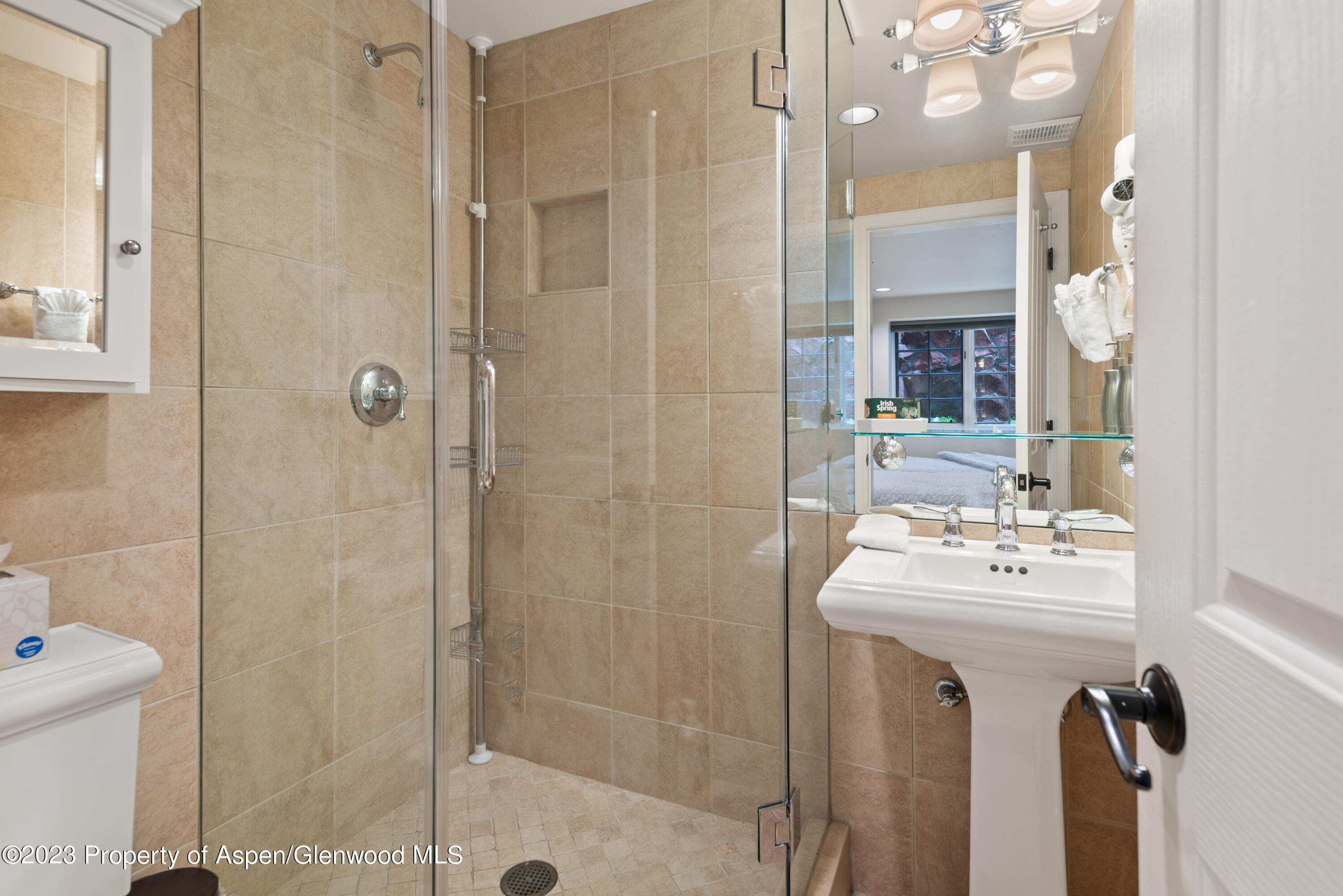 711 South Galena Street, Unit 20D Aspen, CO 81611 - Photo 20 of 26 a bathroom with a sink mirror and shower