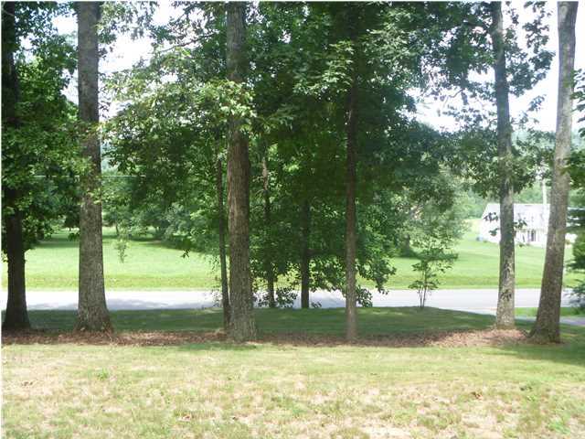 2568 Salem Valley Road Ringgold, GA 30736 - Photo 5 of 26 Additional Photo