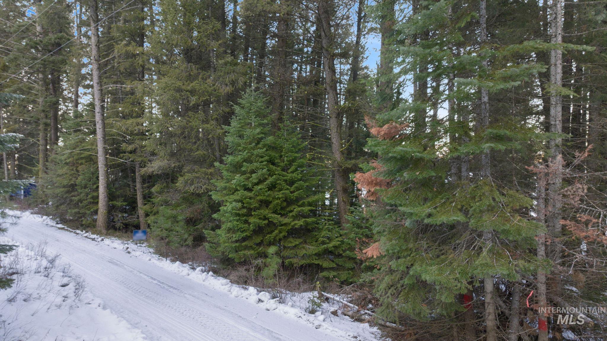 616-618 Teepee Road Cascade, ID 83611 - Photo 15 of 21