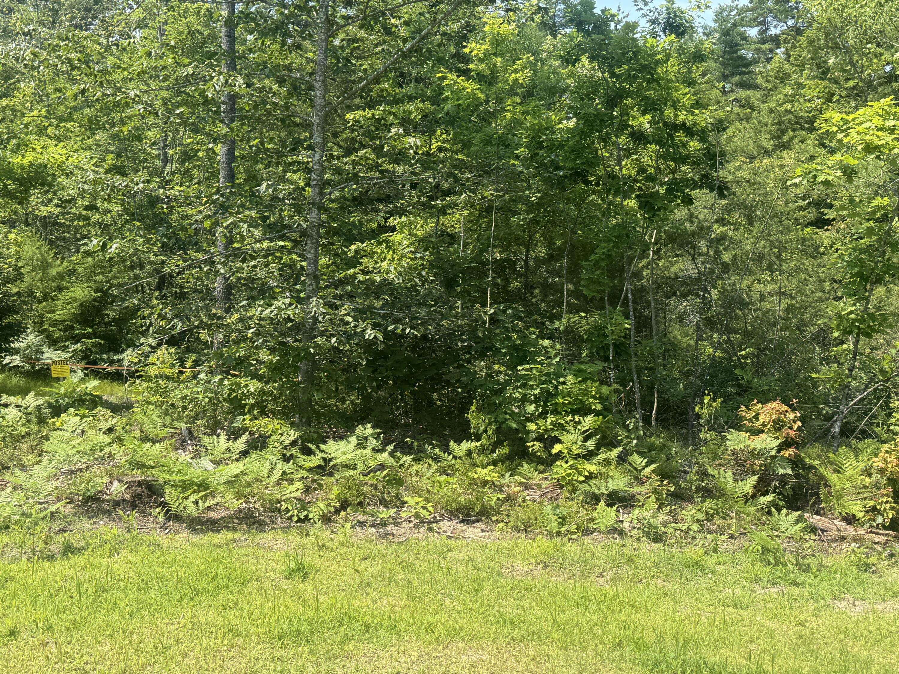 Lot 1 Young's Way Standish, ME 04084 - Photo 2 of 6 IMG_4849