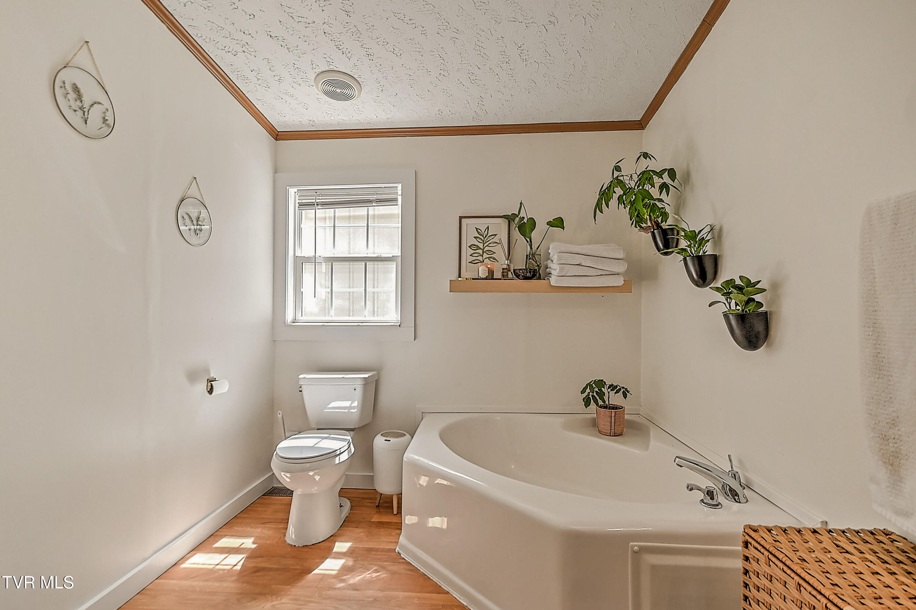 800 Chadwell Road Kingsport, TN 37660 - Photo 37 of 58 800 Chadwell MA-36