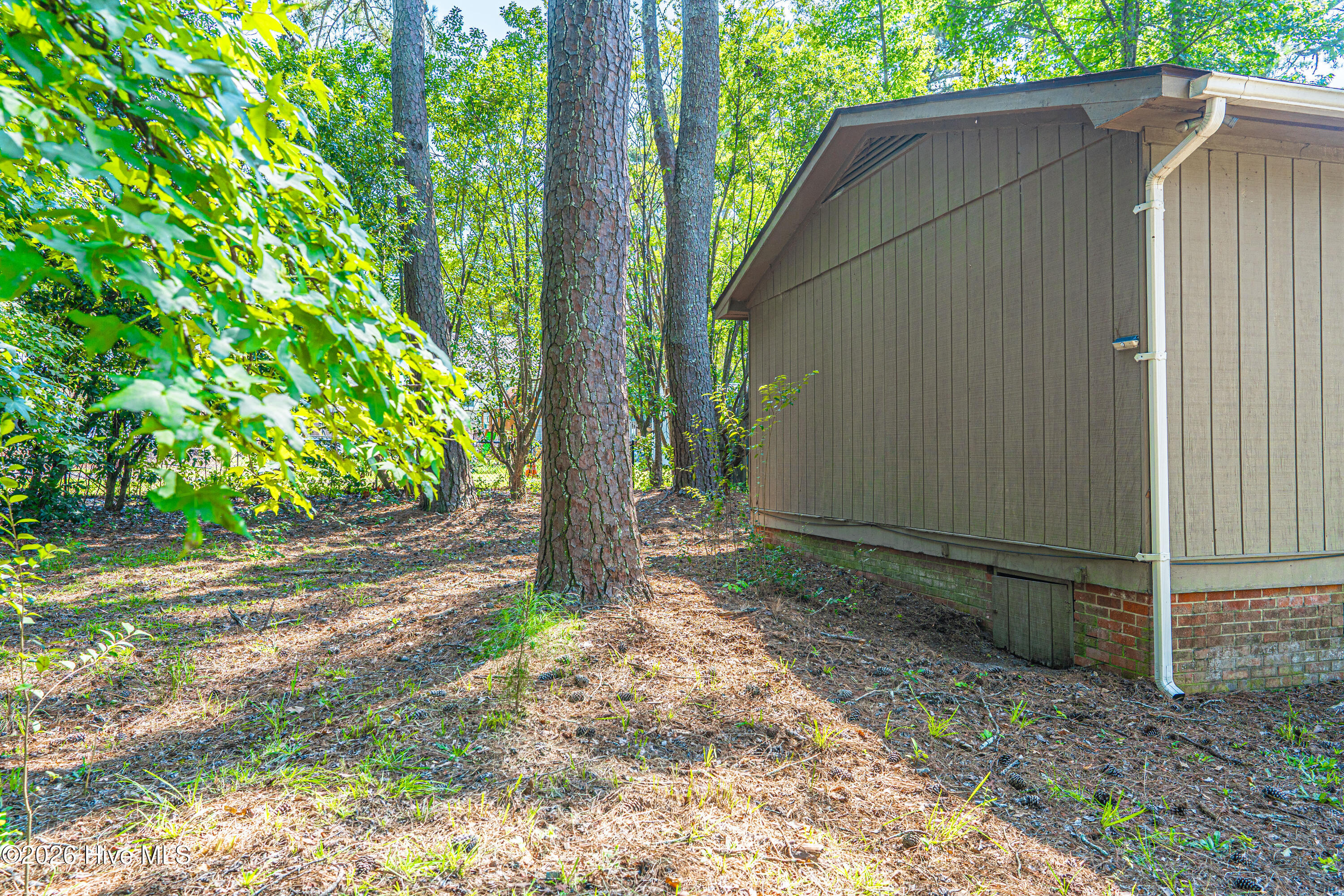 310 Elizabeth Avenue Rockingham, NC 28379 - Photo 7 of 50 Gallery Image 7