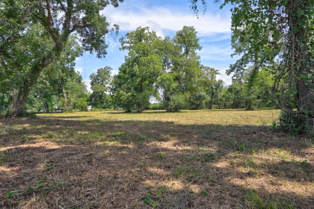 Tbd Pryor Road Brookshire, TX 77423 - Photo 15 of 31 Gallery Image 15