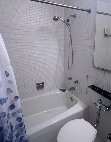 a bathroom with a toilet and a bathtub