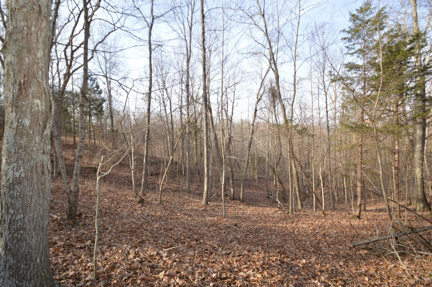 1290 Dennis Road, Unit 3 Lawrenceburg, KY 40342 - Photo 8 of 76 Photo 8