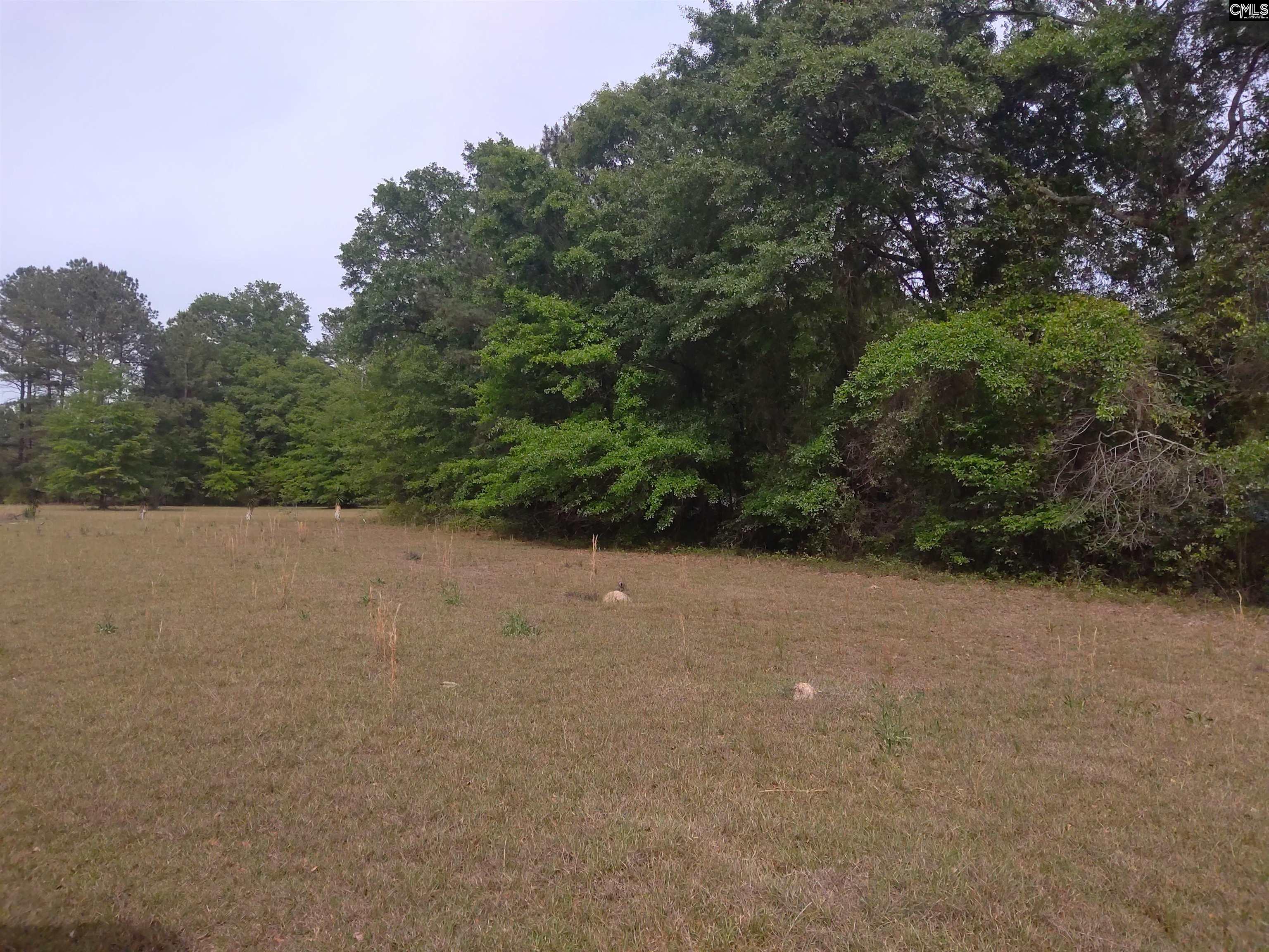 242 Ault Road Hopkins, SC 29061 - Photo 4 of 15