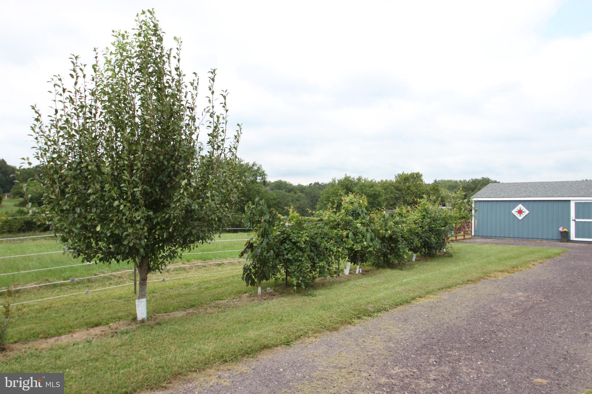 Lot 7-8 Indiantown Road Locust Grove, VA 22508 - Photo 11 of 32 Gallery Image 11
