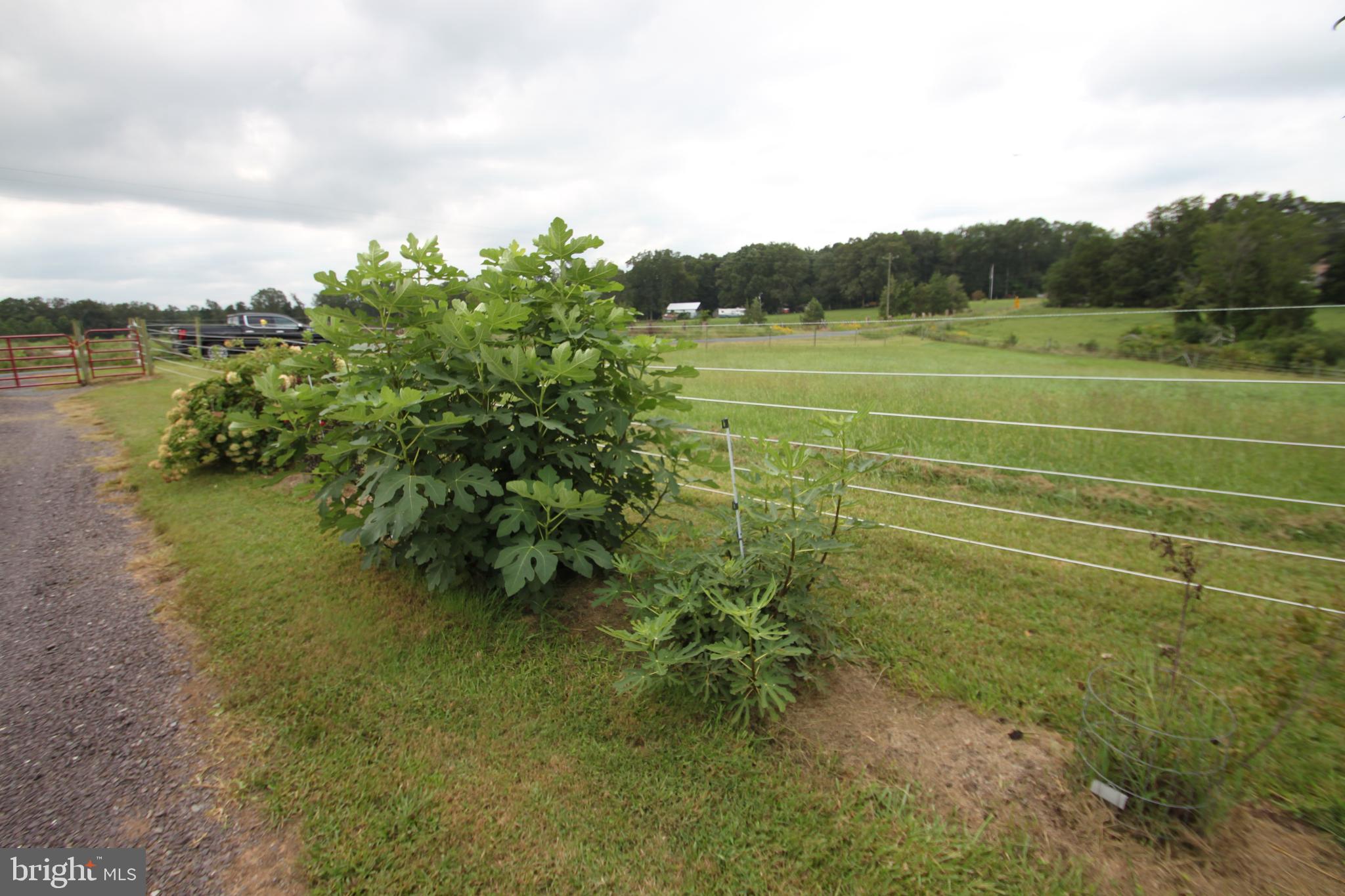 Lot 7-8 Indiantown Road Locust Grove, VA 22508 - Photo 27 of 32 Gallery Image 27