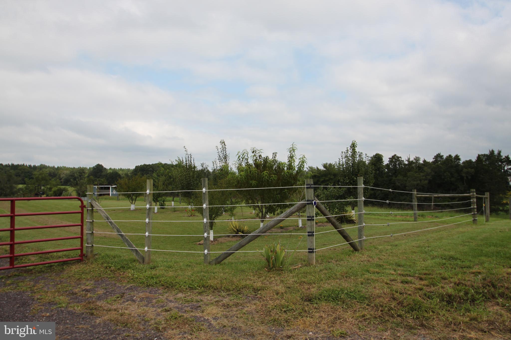 Lot 7-8 Indiantown Road Locust Grove, VA 22508 - Photo 5 of 32 Gallery Image 5