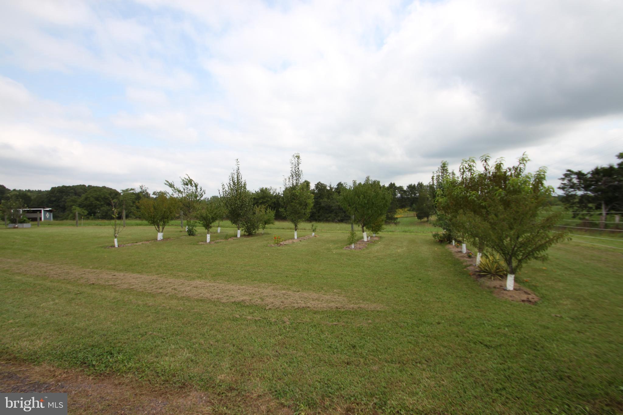 Lot 7-8 Indiantown Road Locust Grove, VA 22508 - Photo 7 of 32 Gallery Image 7