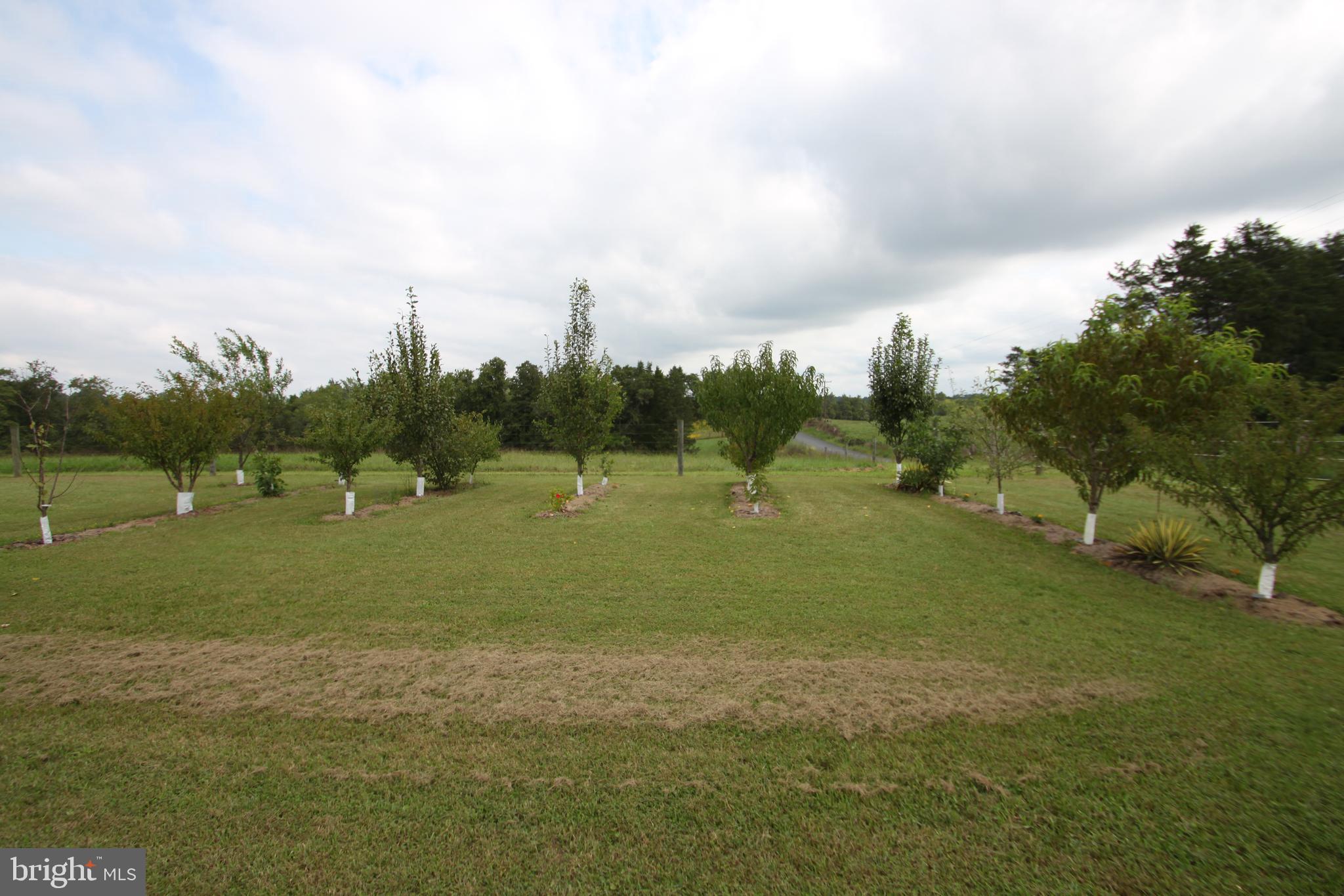 Lot 7-8 Indiantown Road Locust Grove, VA 22508 - Photo 8 of 32 Gallery Image 8