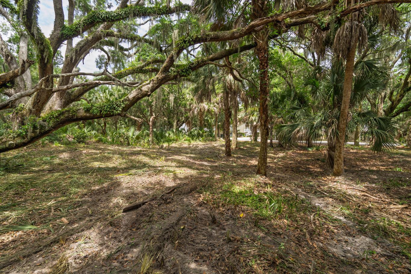 3322 Myrtle Street Edisto Island, SC 29438 - Photo 8 of 26