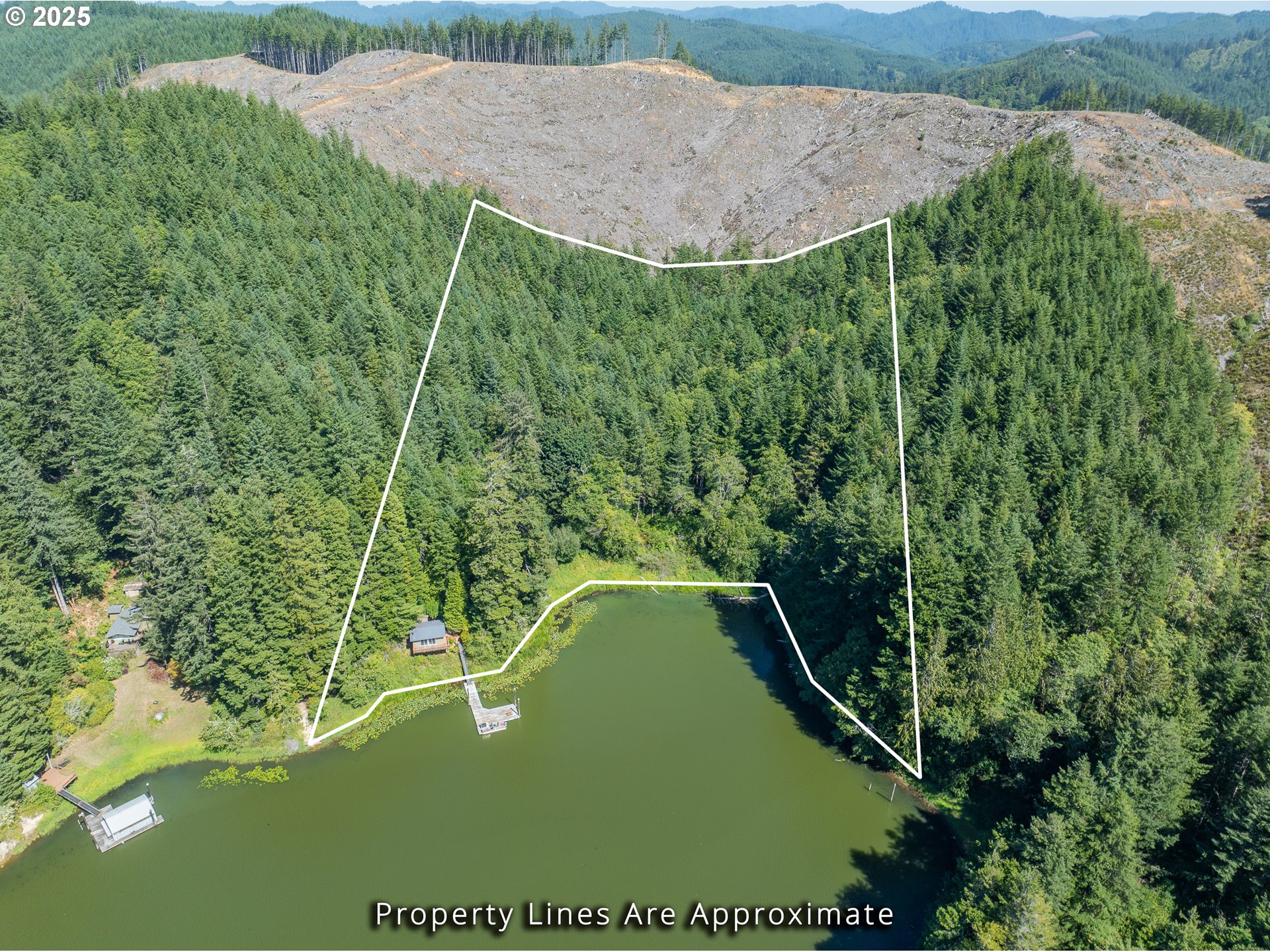 1523 North Tenmile Lakeside, OR 97449 - Photo 2 of 26 a view of a yard with a swimming pool