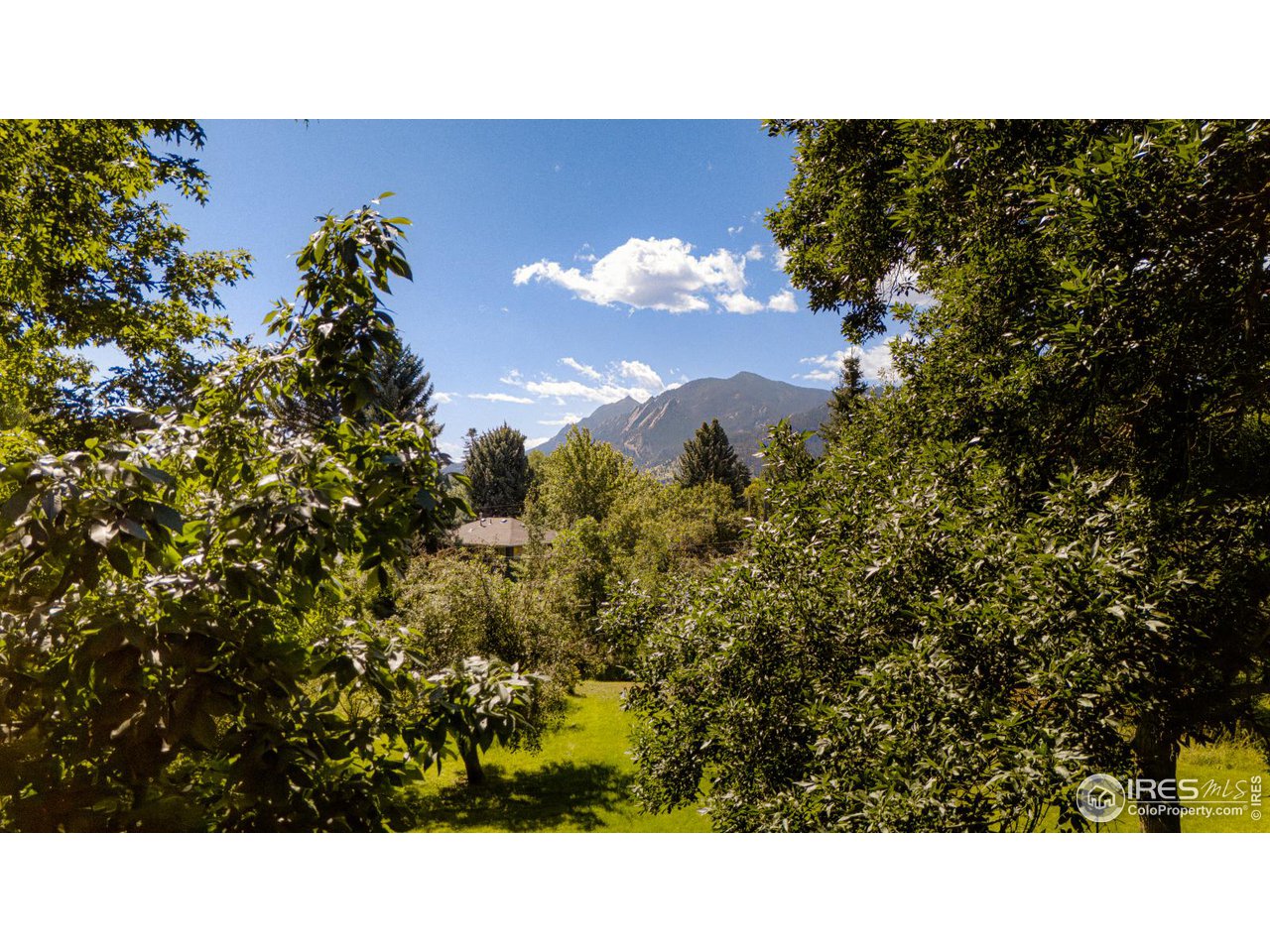 870 Juniper Avenue Boulder, CO 80304 - Photo 9 of 20 a black and white photo of a house