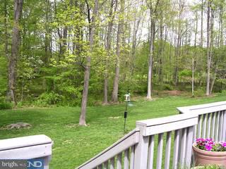 235 E Road Doylestown, PA 18901 - Photo 6 of 6 Gallery Image 6