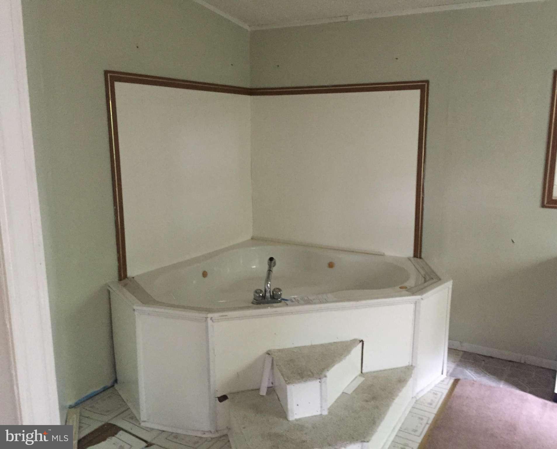 4970 Harmony Road Preston, MD 21655 - Photo 13 of 18 a bath tub sitting next to a white sink and vanity