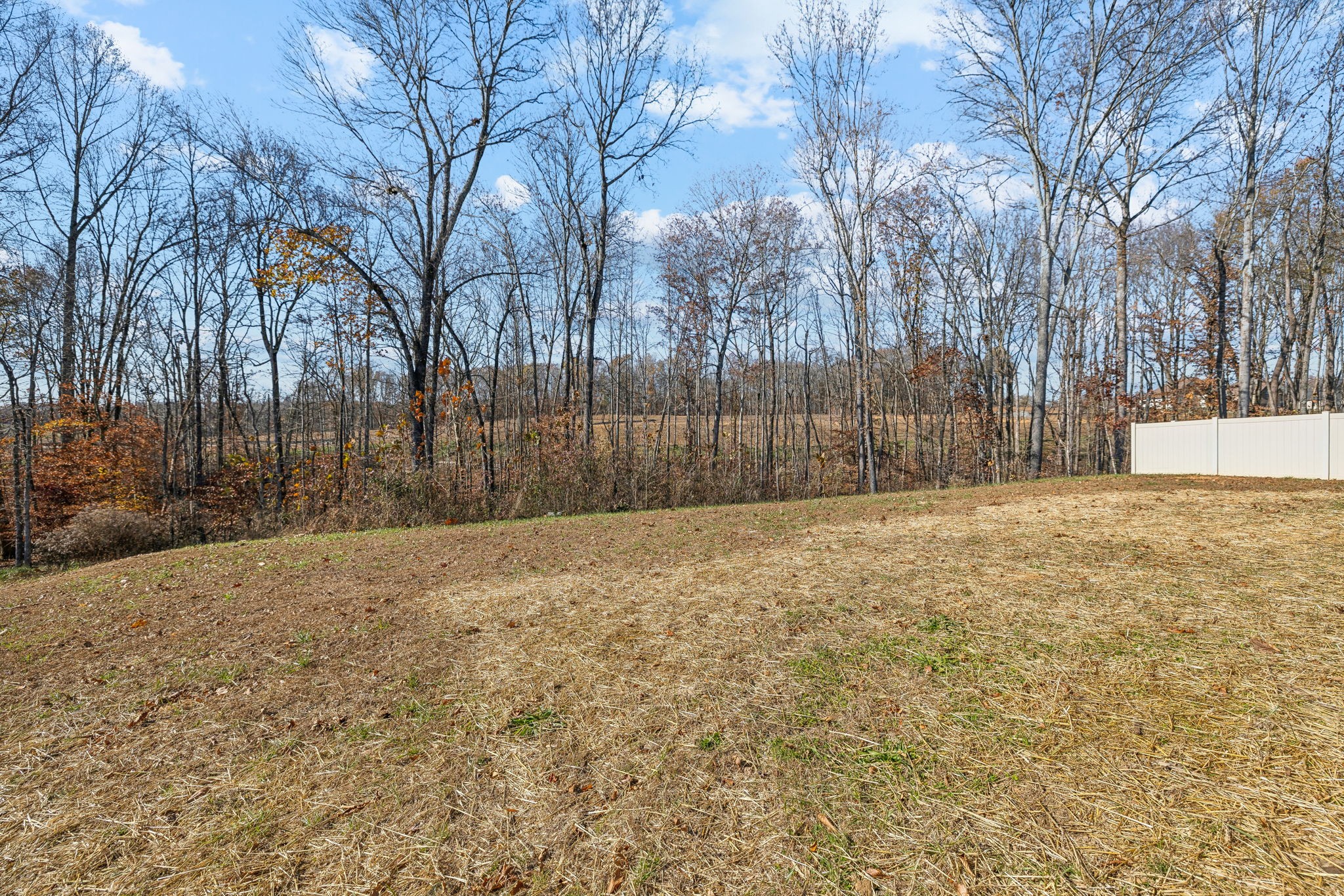 2107 Beverly Gail Road Pleasant View, TN 37146 - Photo 36 of 47 Gallery Image 36