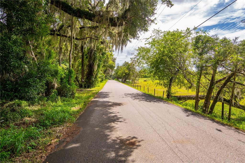 Whitman Road Brooksville, FL 34601 - Photo 13 of 18 Gallery Image 13