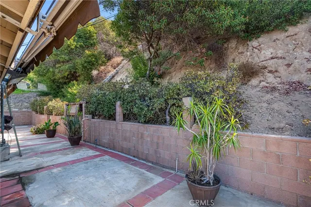 a view of a backyard with plants