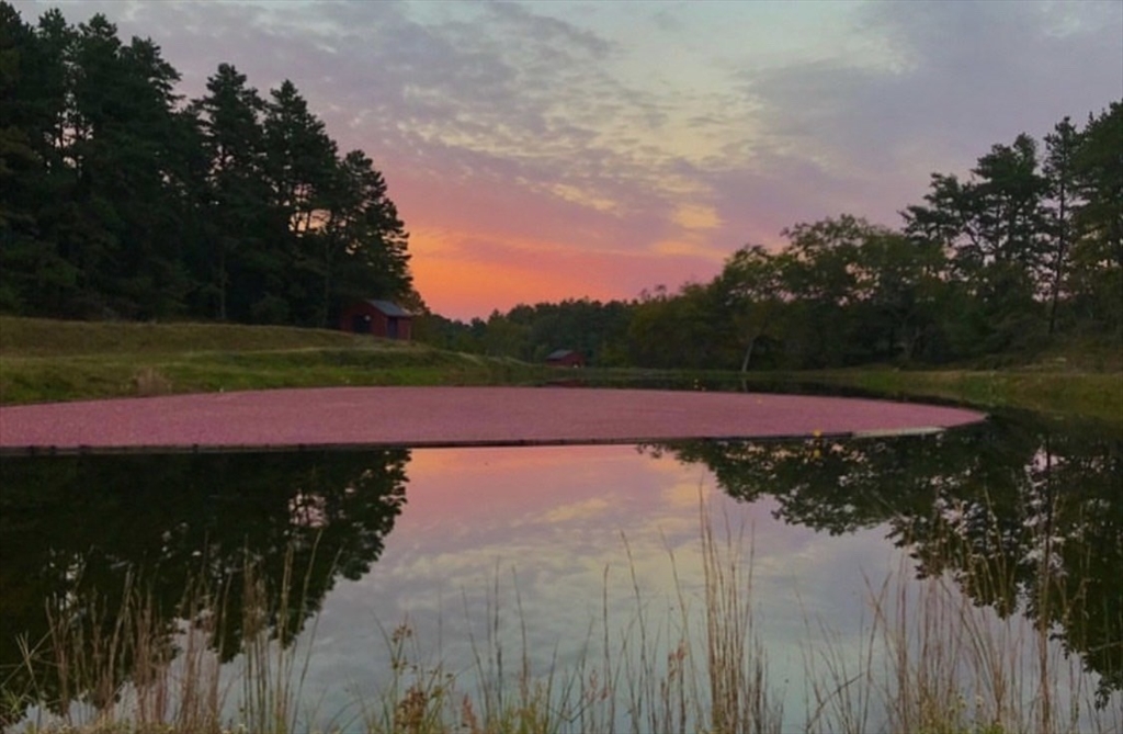 18 Red Pine Lane Wareham, MA 02571 - Photo 31 of 37 a view of swimming pool yard and lake view