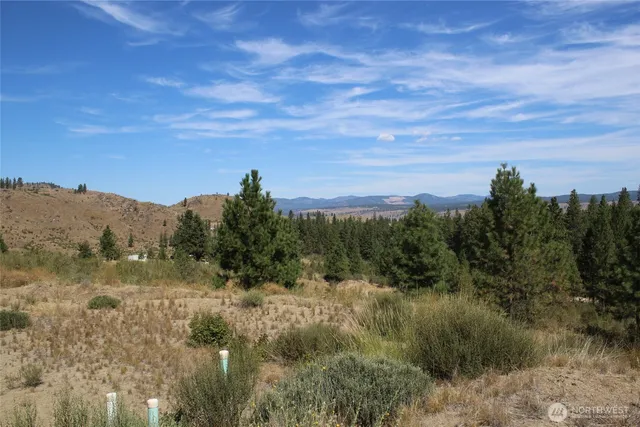 a view of a bunch of trees in a field