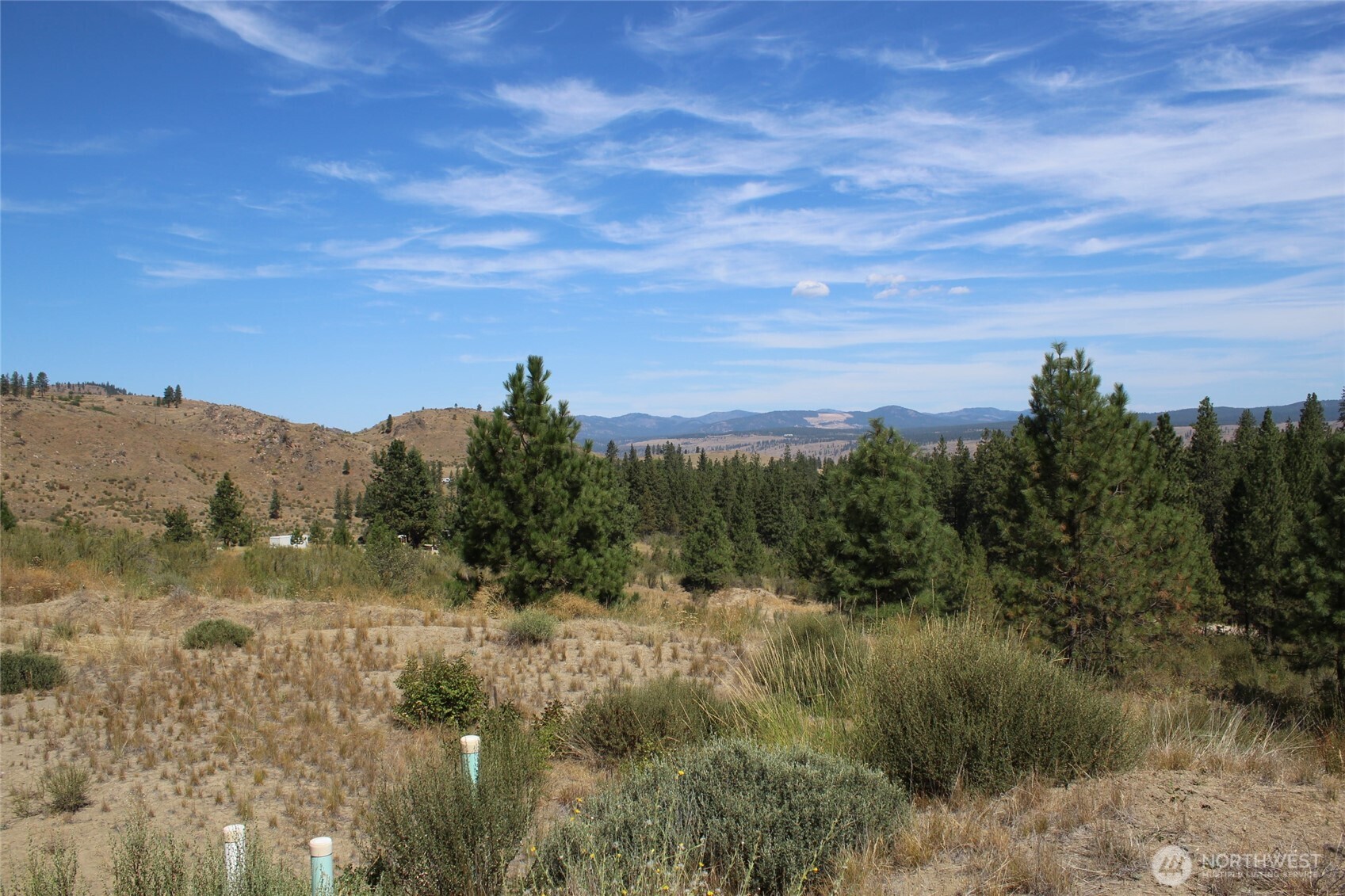 36605 Teel Hill Road North Davenport, WA 99122 - Photo 1 of 10 a view of a bunch of trees in a field