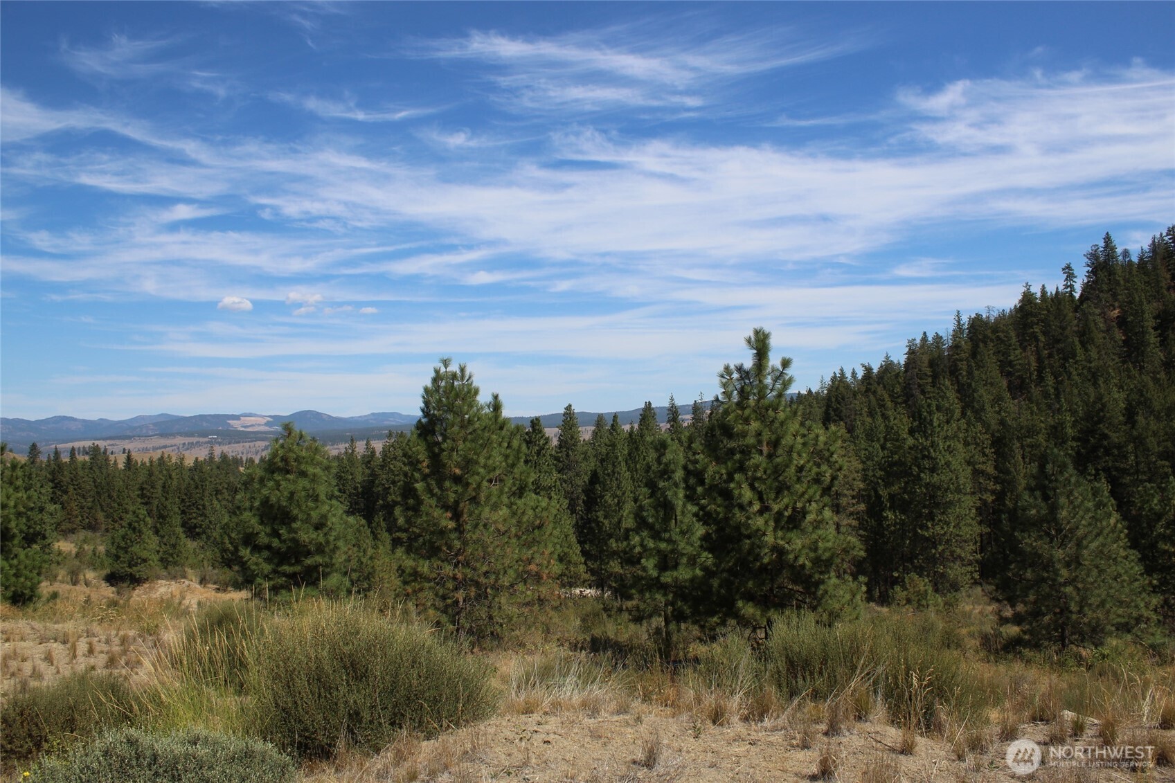 36605 Teel Hill Road North Davenport, WA 99122 - Photo 2 of 10 a view of a lake with a yard