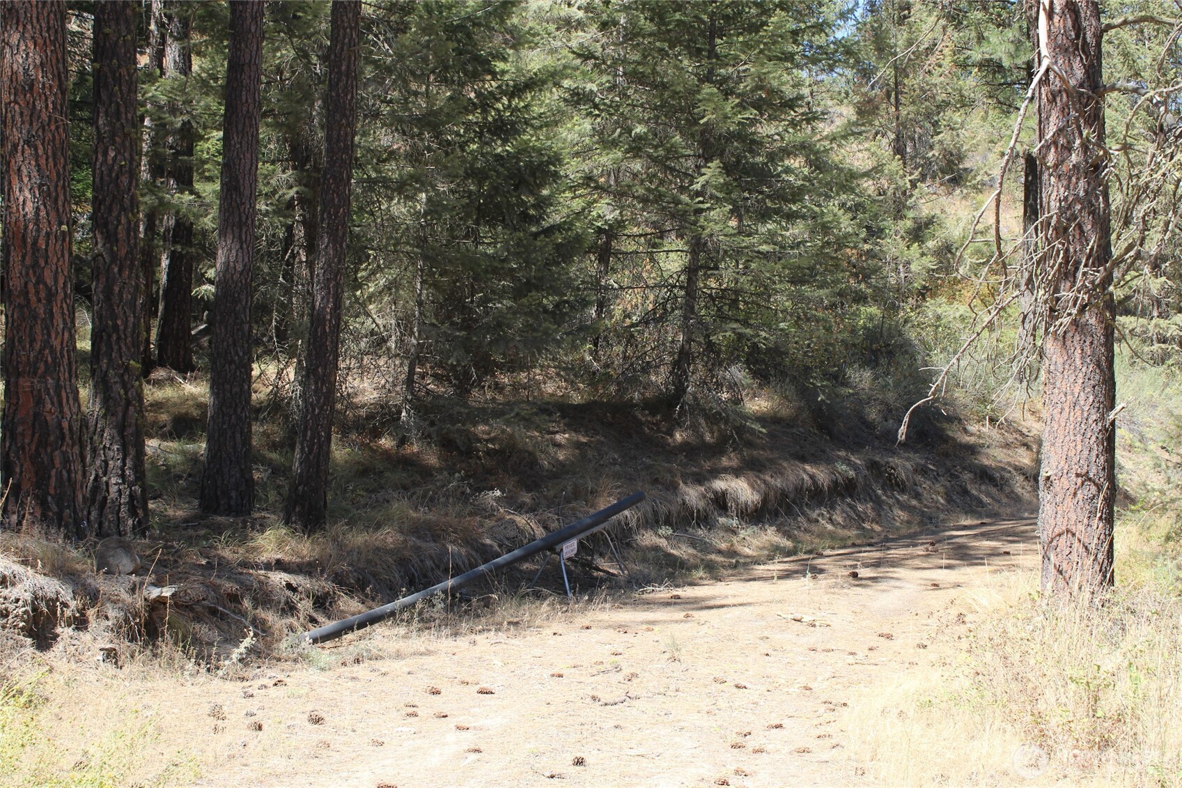 36605 Teel Hill Road North Davenport, WA 99122 - Photo 4 of 10 a view of a yard covered in snow